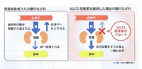 ●体重減少、体脂肪減少効果がある