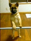 たっち
