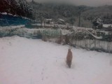 2010年02月18日