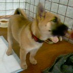 似合ってるかな