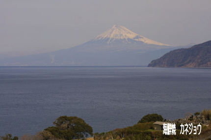 2月11日の富士山
