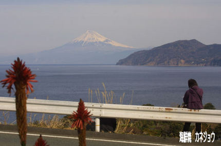 2月11日の富士山