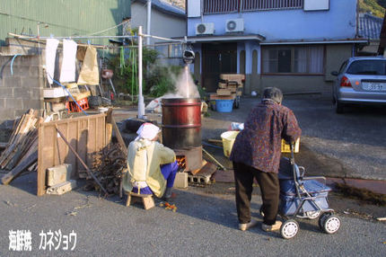 昨日はヒジキ取り