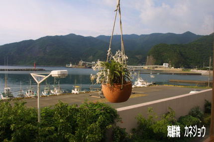 フウラン