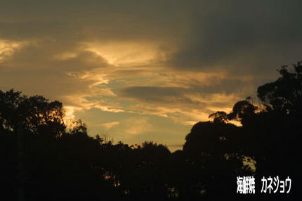 8月7日夕景当店のベランダから