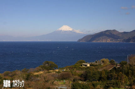 １１日の富士山