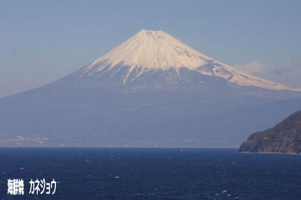 １１日の富士山