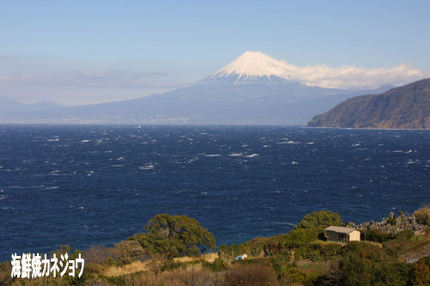 24日の富士山