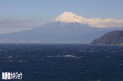 24日の富士山