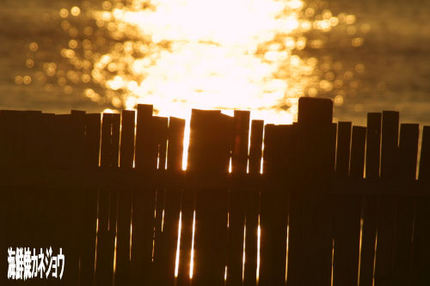 クリスタルビーチ夕景