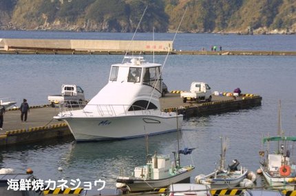 海からのお客様