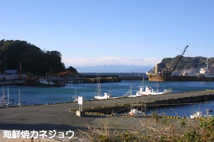宇久須港の午後１９日