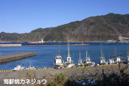 宇久須港の朝２１日
