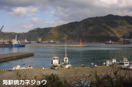 ２２日の宇久須港