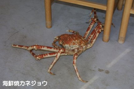 逃走