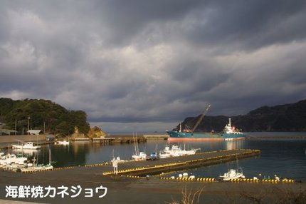宇久須港の朝２日