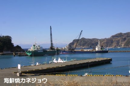 宇久須港の昼