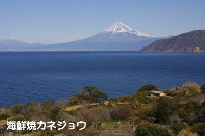 土肥からの富士山