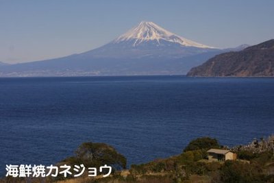 土肥からの富士山