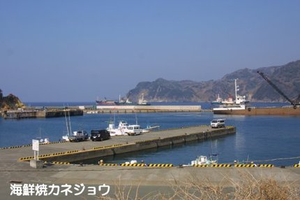 昼の宇久須港２４日