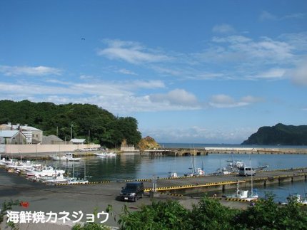 ４日宇久須港の朝