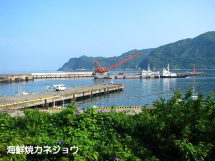宇久須港の朝１９日