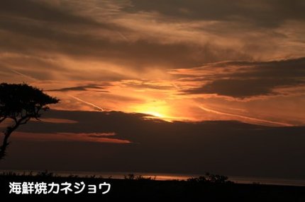 ８日の夕陽