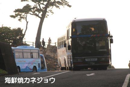 バスが多いです。