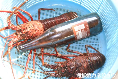 伊勢エビ