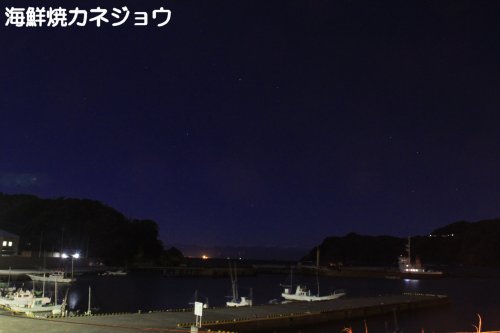 月光下の宇久須港