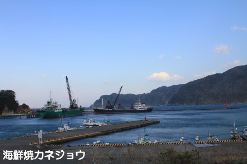 ２４日宇久須港の朝