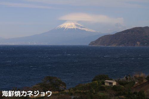 ２６日土肥からの富士山