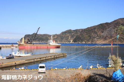 ８日宇久須港の朝