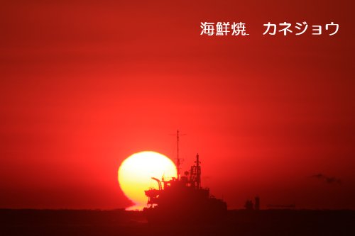 ８日の夕日