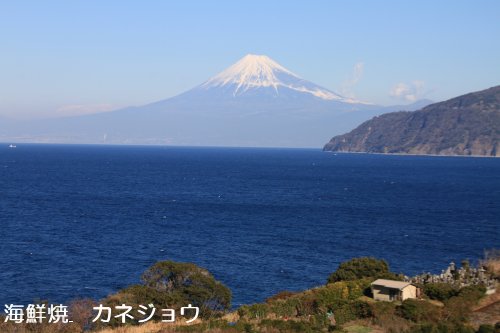１２日の土肥からの富士山