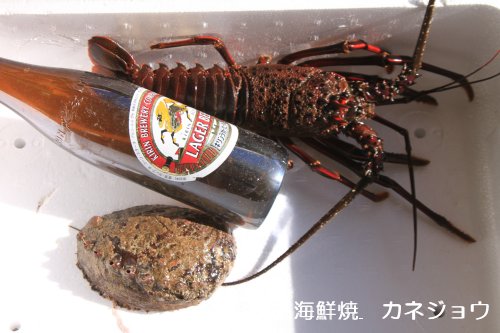 伊勢エビアワビタカアシガニ