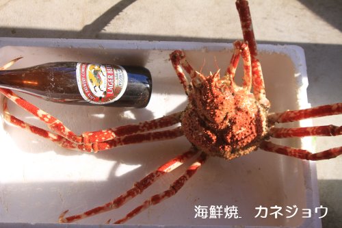 伊勢エビアワビタカアシガニ