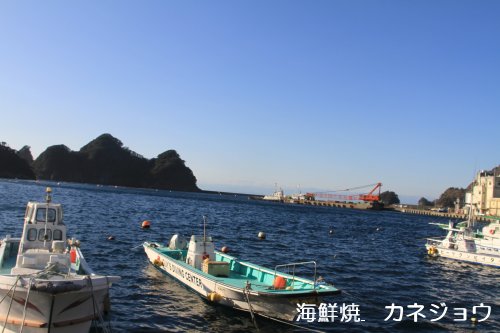 ２０日の田子港