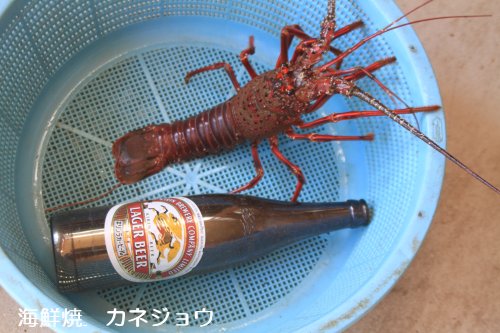 伊勢エビのお客様