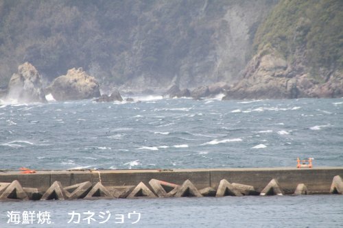 ２５日の宇久須港