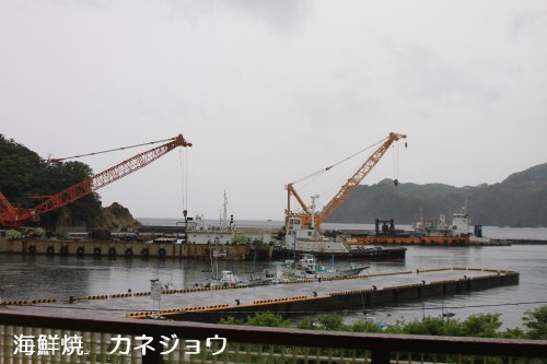 宇久須港の朝２４日