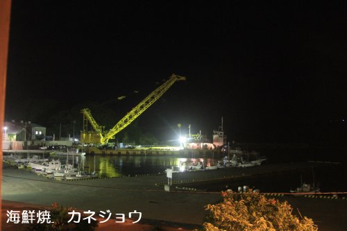 真夜中の宇久須港１４日