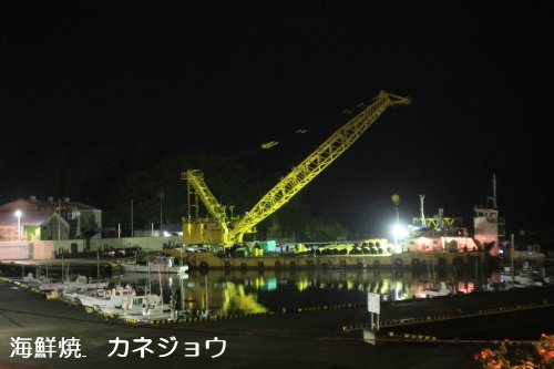 深夜の宇久須港２０日