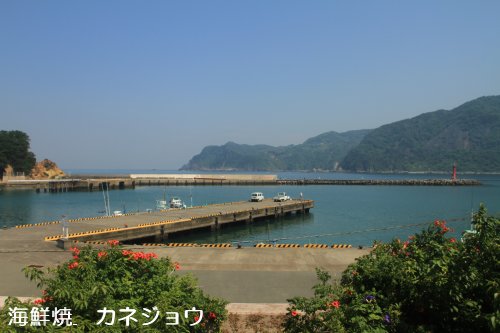 宇久須港の朝３０日