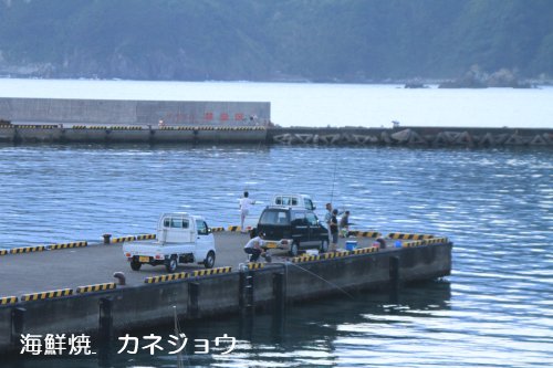 釣り人１０日宇久須港