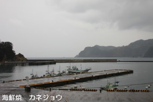 宇久須港の午後８日