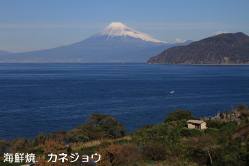 土肥からの富士山１０日２