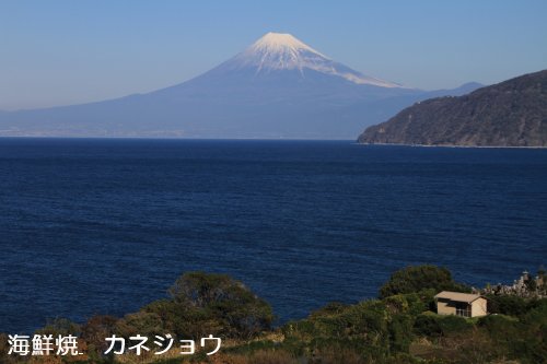 土肥からの富士山１１日