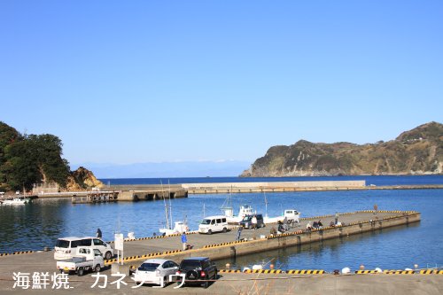 宇久須港の朝１３日