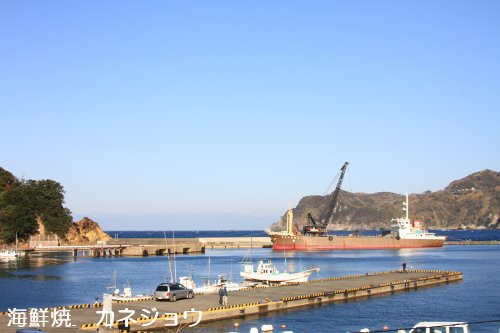 宇久須港の朝１５日